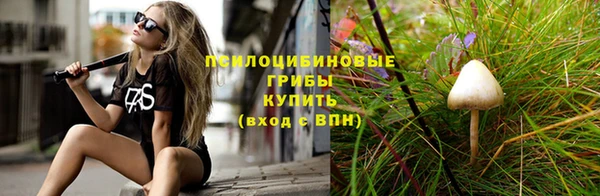 молекула духа Коряжма