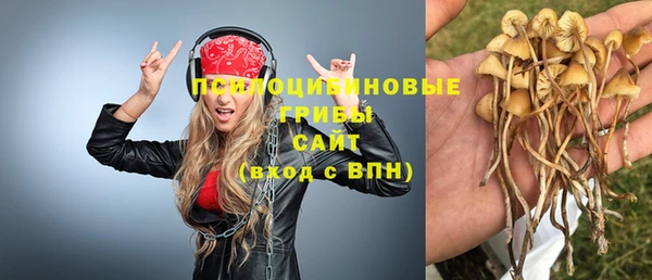 МДПВ Кодинск